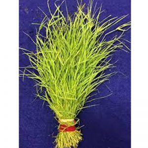 Durva Grass