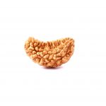 One Mukhi Half moon