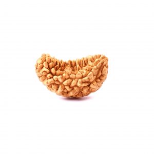 One Mukhi Half moon