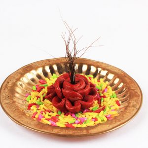 Rare Sanjeevani Grass