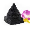 Shaligram Shreeyantra – 292 gms