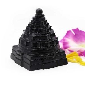 Shaligram Shreeyantra – 292 gms