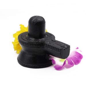 Shaligram Shivling – 272 gms