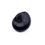Laxmi Ganesh Shaligram Shila
