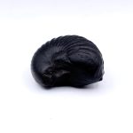Laxmi Shaligram Shila