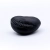 Balarama Shaligram Shila