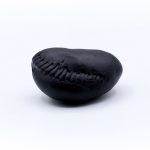 Balarama Shaligram Shila