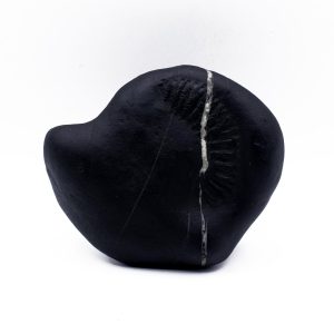 Matsya Varaha Shaligram Shila