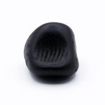 Hrishikesha Chandrama Shaligram Shila