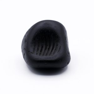 Hrishikesha Chandrama Shaligram Shila