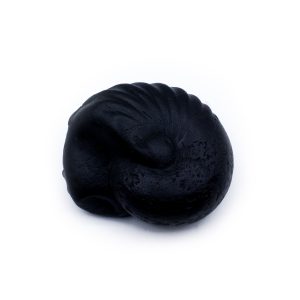 Kalpavriksha Laxmi Ganesh Shaligram Shila
